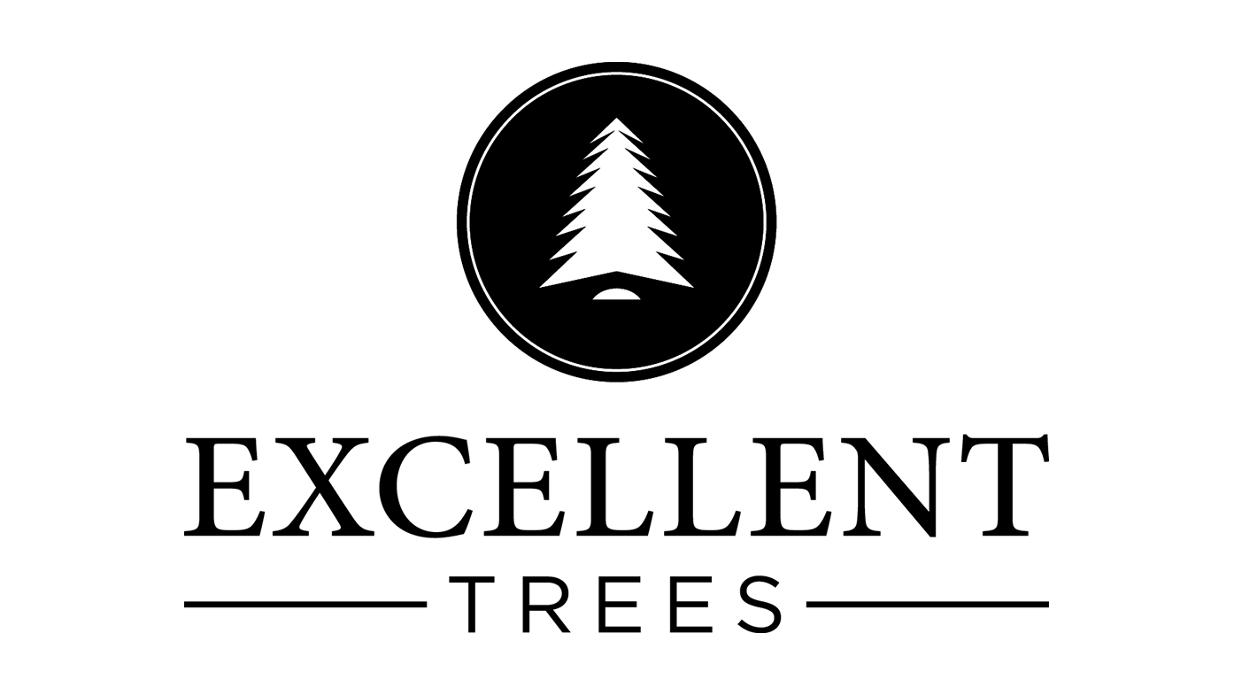 Excellent Trees