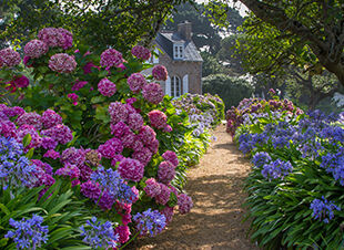 Englischer Cottage Garten