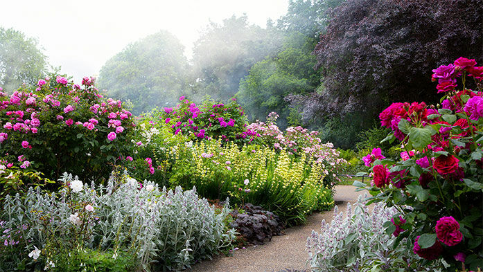 Ein Garten wie im Märchen – Englischer Landhausgarten