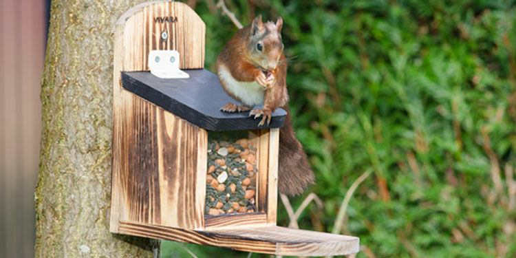 Warum ist es wichtig, Gartentieren zu helfen?