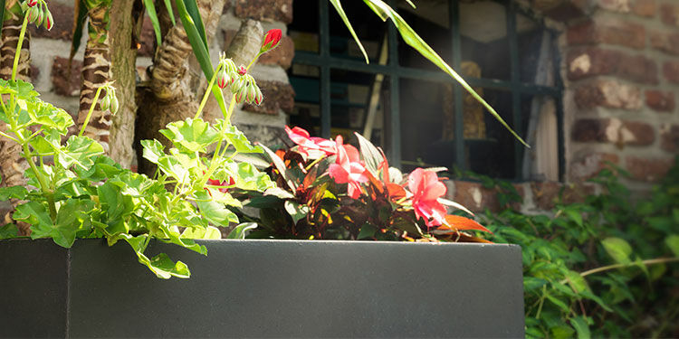 Blumentöpfe für Terrasse und Garten: Vielseitig einsetzbare Pflanzgefäße
