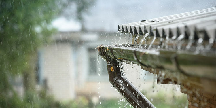 Entlaste die Kanalisation mit der Nutzung von Regenwasser