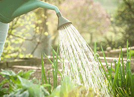 Hilfreiche Tipps zur Gartenbewässerung