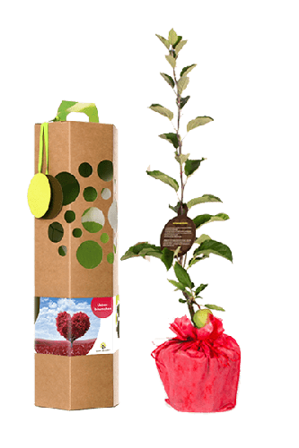 Muttertagsbaum als Geschenk | Apfel | mit persönlichem Text