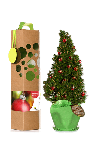 Weihnachtsbaum als Geschenk |  inkl. Weihnachtskugeln | mit persönlichem Text