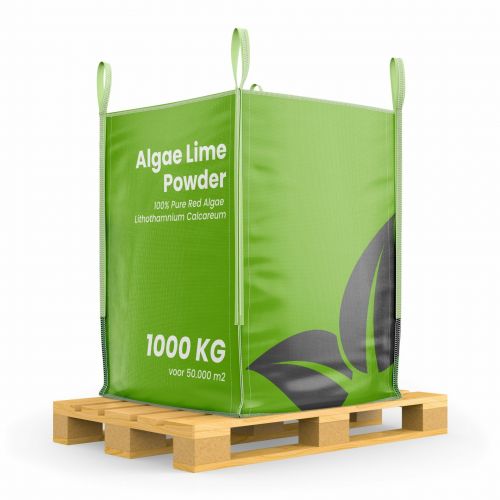 Organifer - Algenkalk-Pulver - Reines Lithothamnium calcareum (Big Bag 1000 kg für 5 ha)