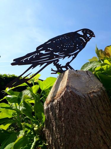 Falke aus Cortenstahl | Lebensgroße Gartenstatue