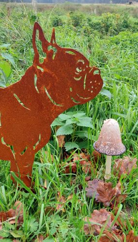 Silhouette Französische Bulldogge garten | Cortenstahl | Gartenstatue