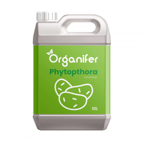 Organifer - Phytophthora-Konzentrat - 10 l für 10.000 m2
