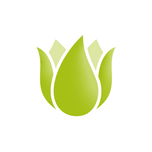 Hydrangea macrophylla Magical ® 'Greenfire' Qufu   1S1B5233 b .jpg