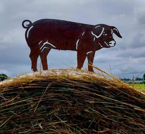 Schwein aus Cortenstahl | Lebensgroße Gartenstatue