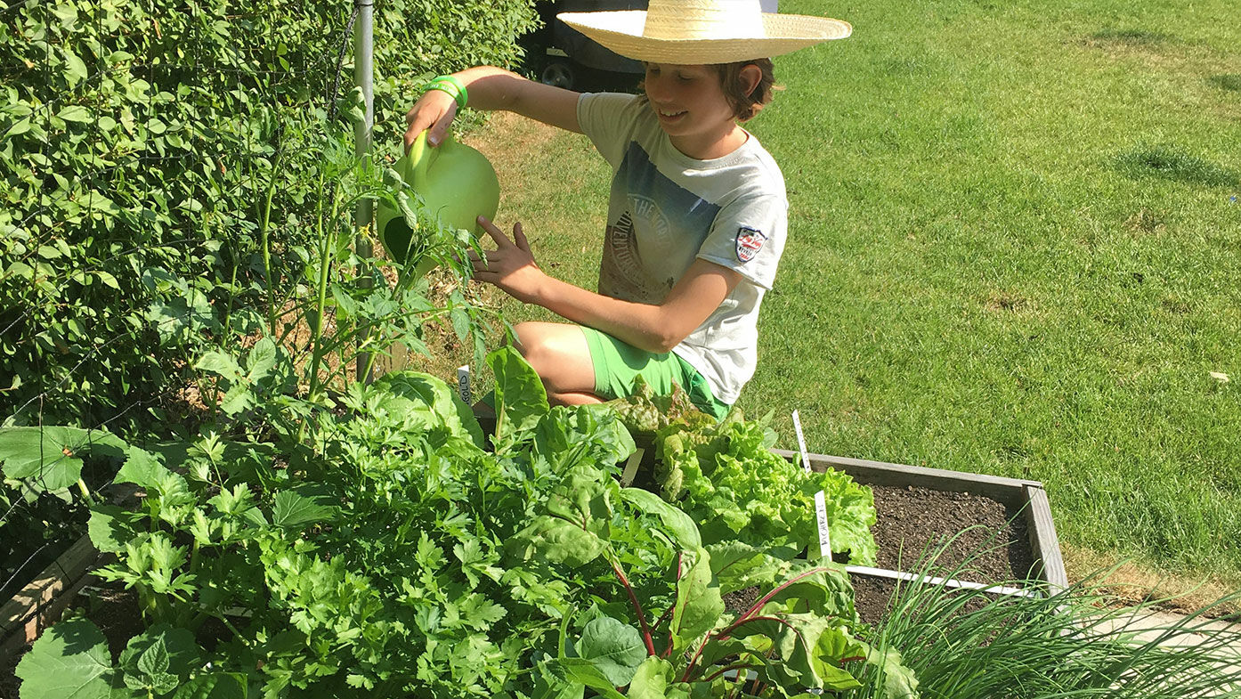 Kind gießt Gemüsegarten