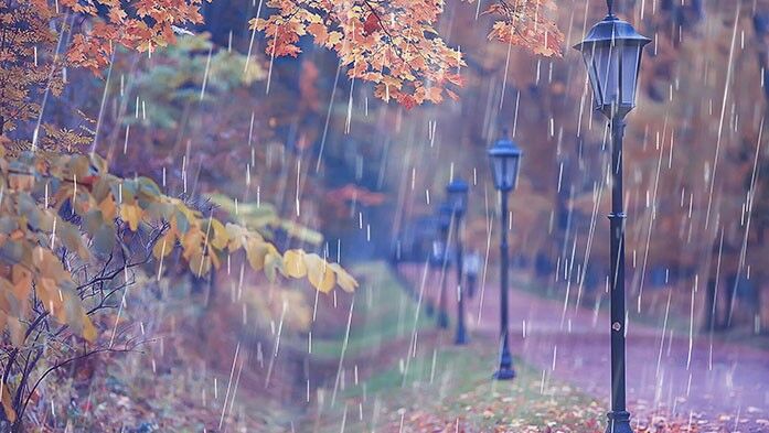 Regen und Herbstlaub