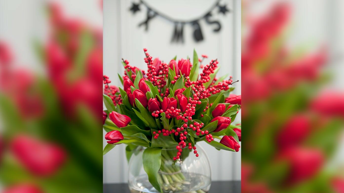 Rote Tulpen in Weihnachtsbouquet