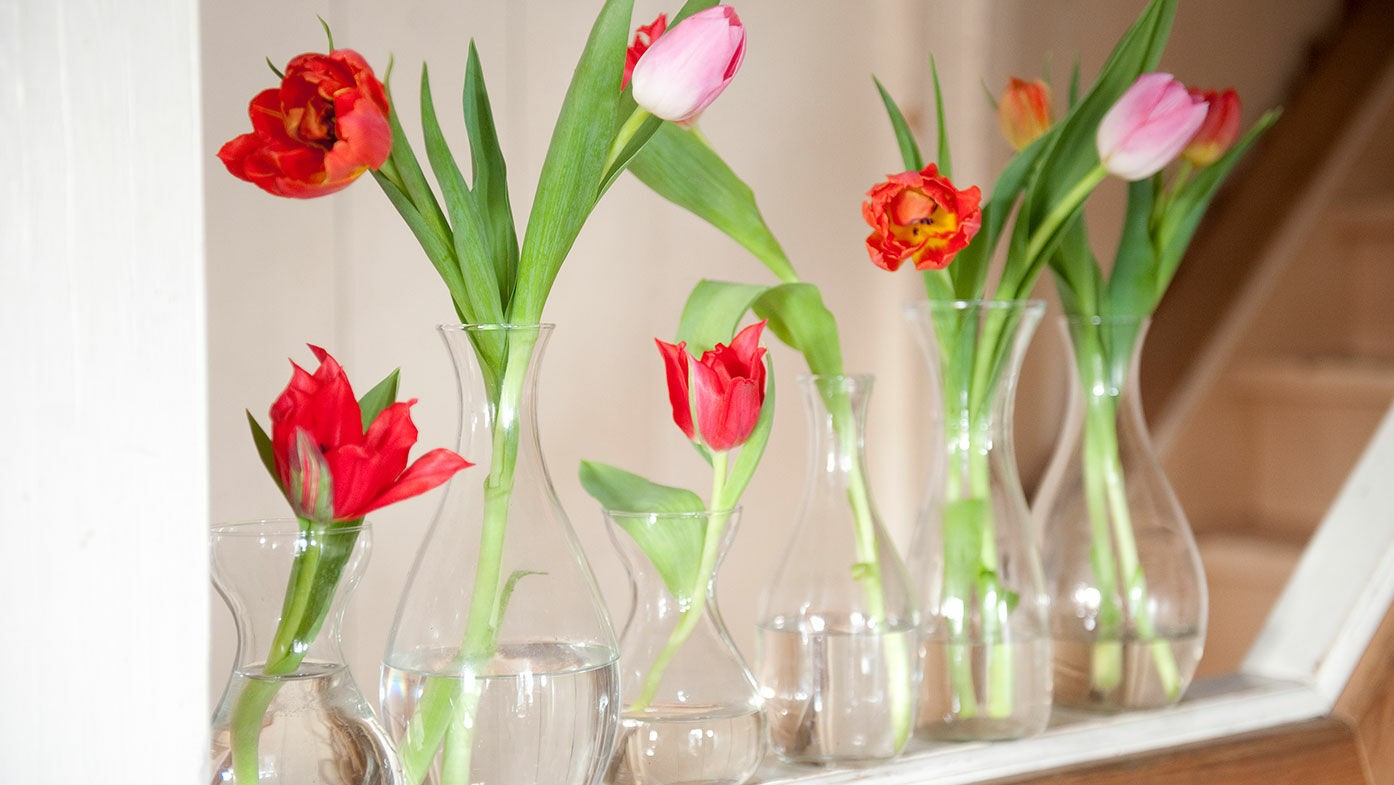 Tulpen in Glasvasen
