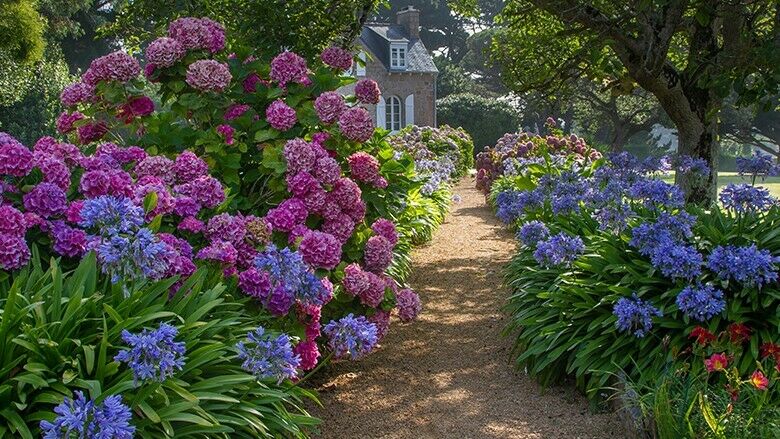 Romantischer Cottage Garten