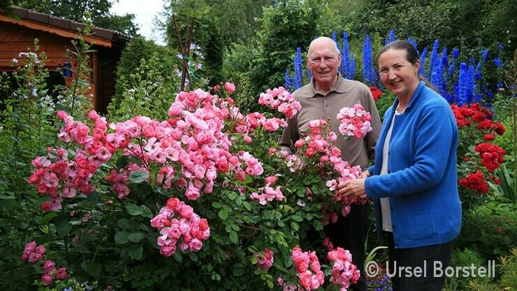 Zu Gast bei Familie Lüdke - © Ursel Borstell - Bild 2