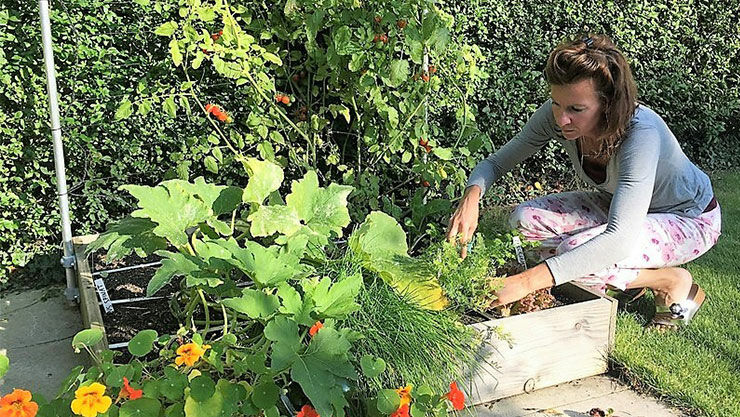 Der Geniale Gemüsegarten im Oktober