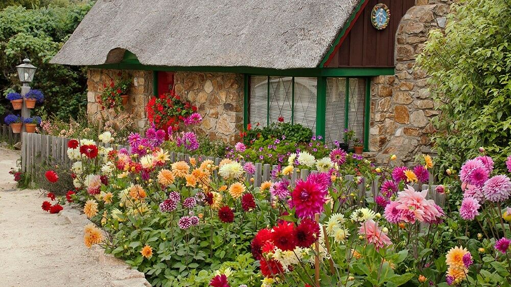 Ländlich und farbenfroh - der Cottage Garten