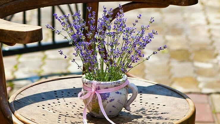 Lavendel auf dem Balkon