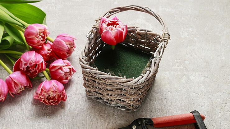Gefüllte Tulpen in Weidenkorb - Schritt 3