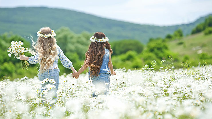 Gänseblümchen als Haarschmuck