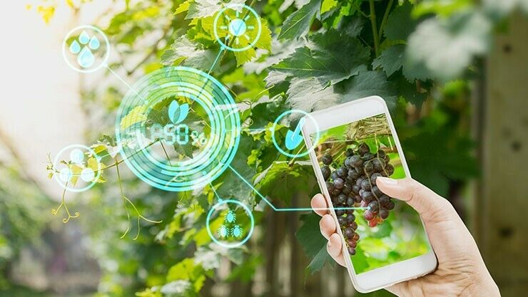 Automatisierter Garten mit Smartphone-Steuerung