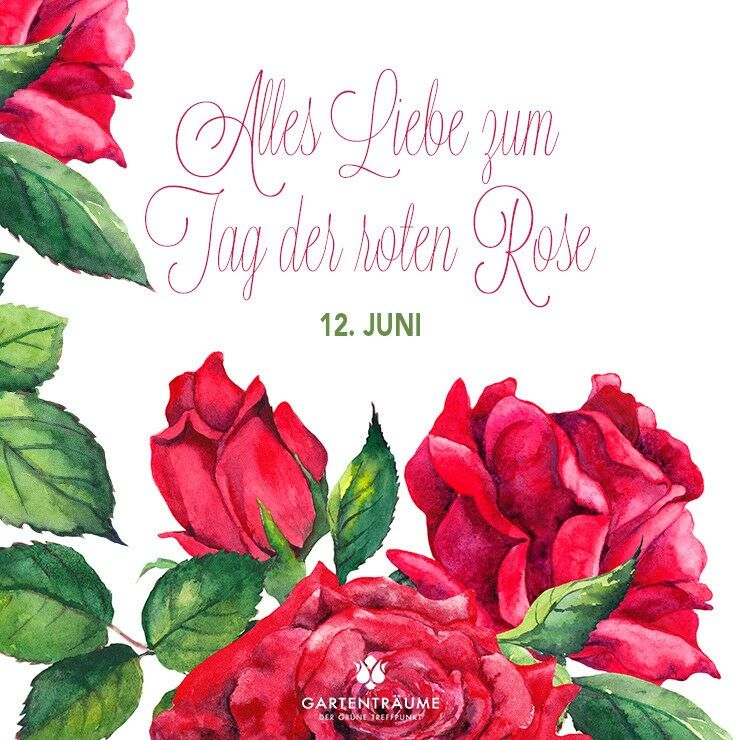 Tag der roten Rose am 12. Juni