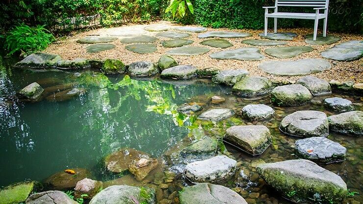 Ein Teich für die Artenvielfalt im Garten