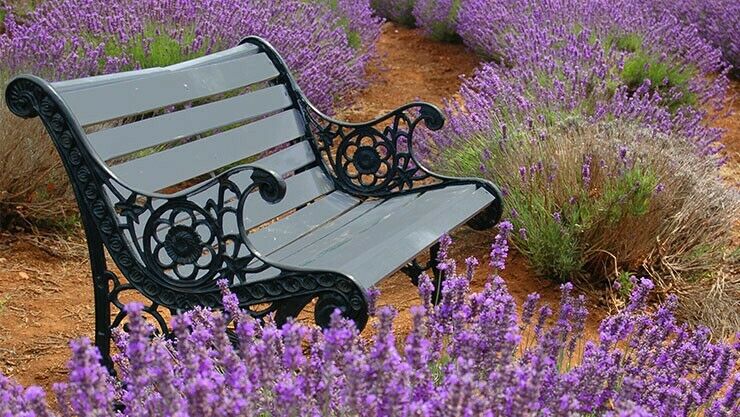 Ein Garten wie in der Provence