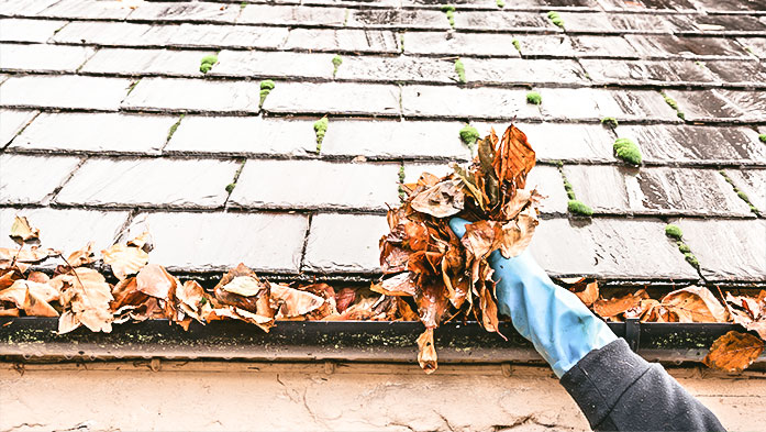 Herbstlaub aus Dachrinnen entfernen