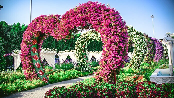 Miracle-Garden-in-Dubai_UAE
