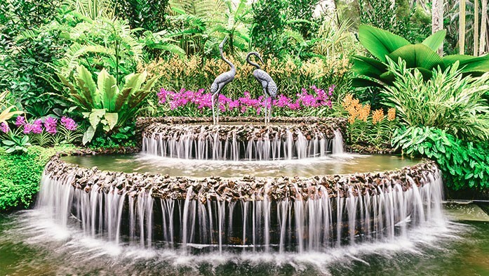 Springbrunnen-Nationaler-Orchid-Garten_Singapur
